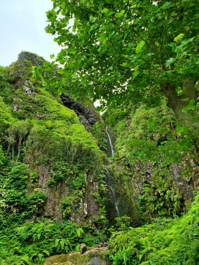 Casa Fagundes Villa Faja Grande Dış mekan fotoğraf